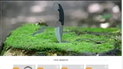 Screenshot of Non-Delivery scam website Coltellistrumenti.com
