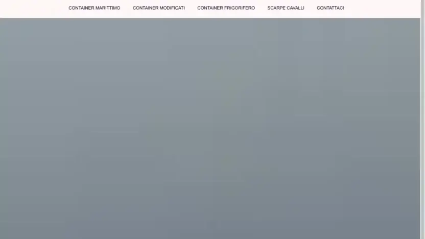 Screenshot of Container scam website Container-sarlshop.com