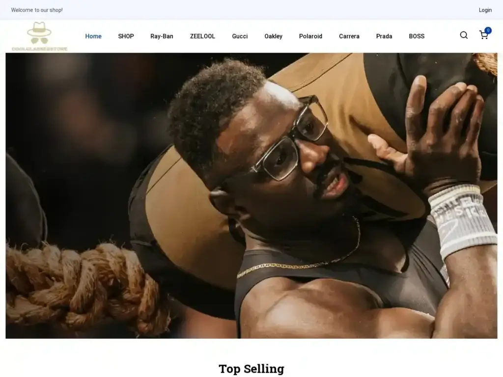 coolglassesstore-com Alternative Text