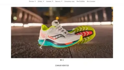 Screenshot of Non-Delivery scam website Coralielasser.com