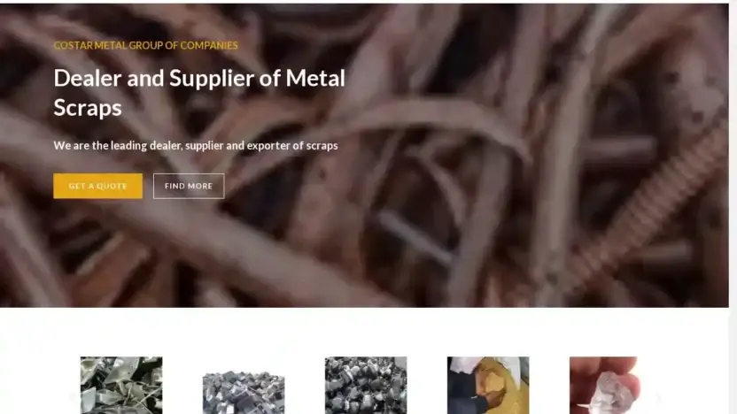 Screenshot of Non-Delivery scam website Costarmetalsgroup.com