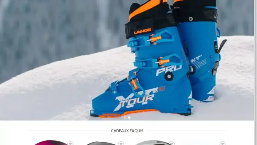 Screenshot of Non-Delivery scam website Courseski.com