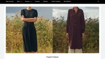 Screenshot of Non-Delivery scam website Cthesky.com