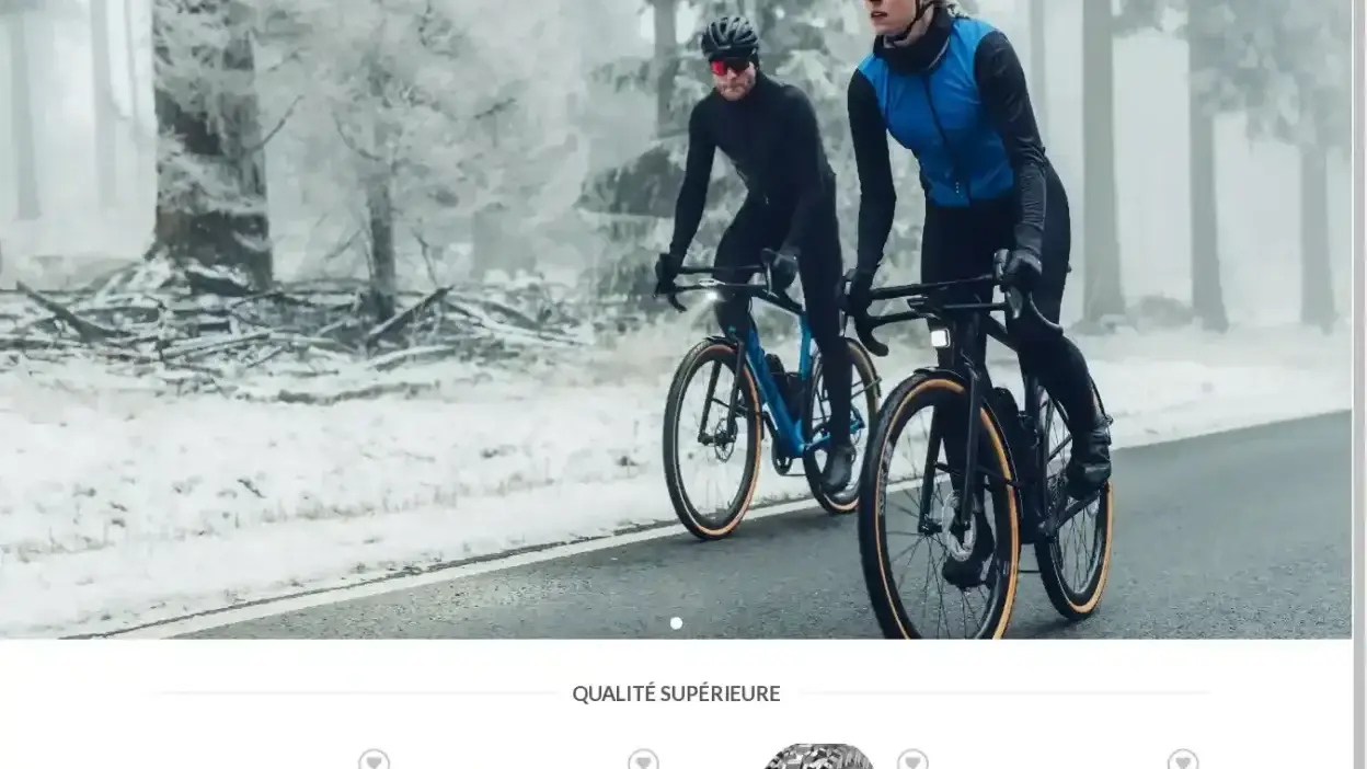 Screenshot of Non-Delivery scam website Cyclistepascher.com