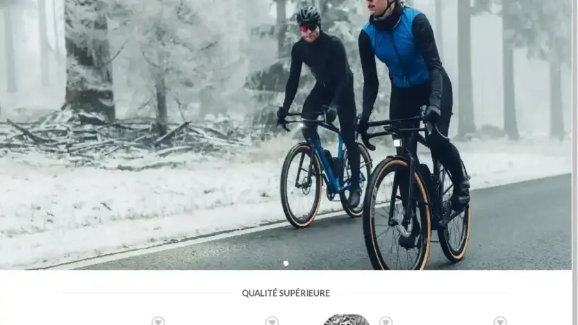 Screenshot of Non-Delivery scam website Cyclistepascher.com