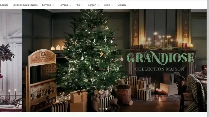 Screenshot of Non-Delivery scam website Cyrilluseashop.com