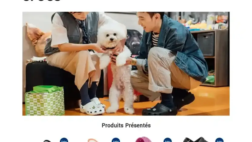 Screenshot of Non-Delivery scam website Dabinum.com