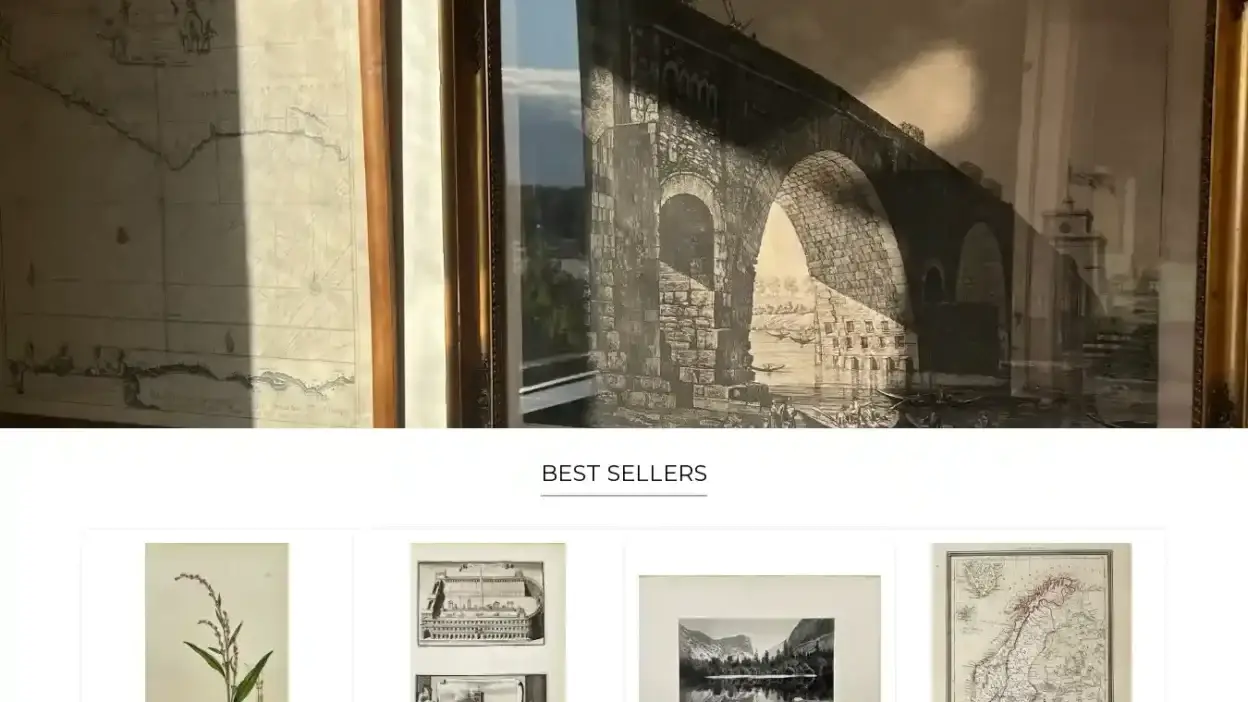 Screenshot of Non-Delivery scam website Dahlstromsfineart.shop