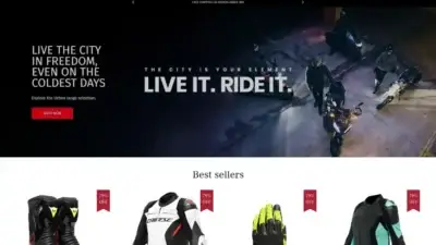 Screenshot of Non-Delivery scam website Daineseride.com