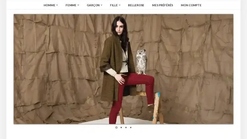 Screenshot of Non-Delivery scam website Dandriano.com