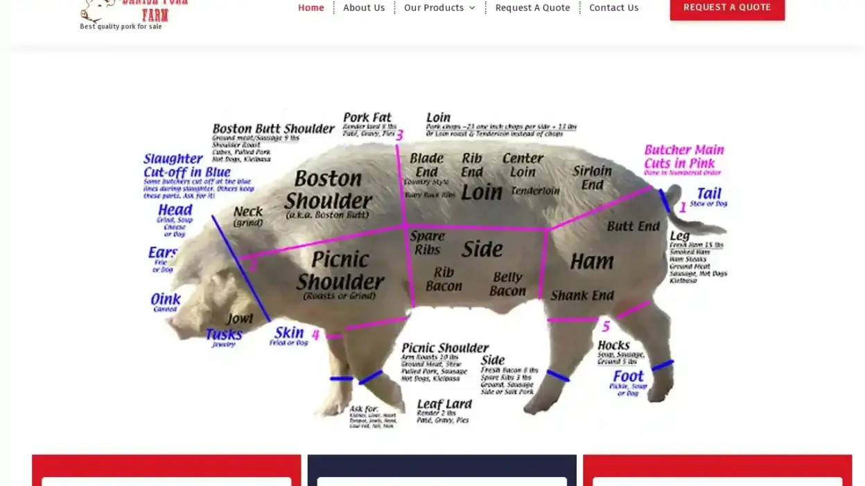 Screenshot of Non-Delivery scam website Danishporkfarm.com