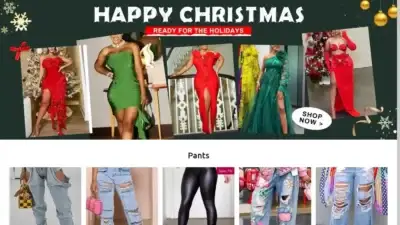 Screenshot of Non-Delivery scam website Daxinshop.store