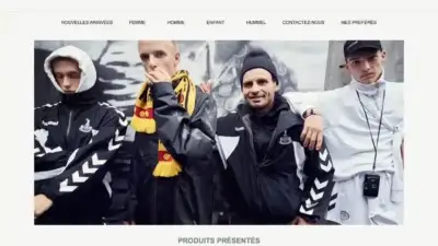 Screenshot of Non-Delivery scam website Dbluecrew.com