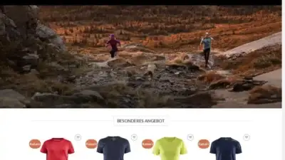 Screenshot of Non-Delivery scam website Debasketballcraft.com