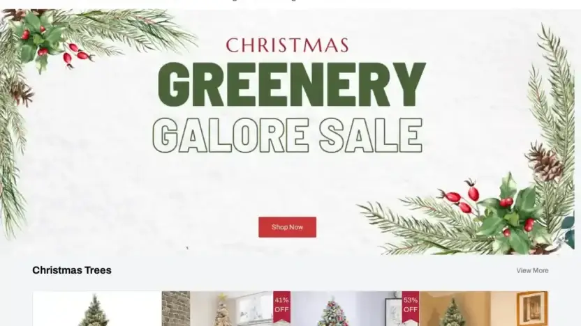 Screenshot of Non-Delivery scam website Decordiscount.shop