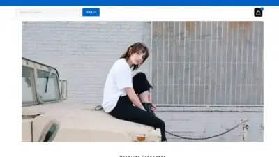 Screenshot of Non-Delivery scam website Decovintagechic.com