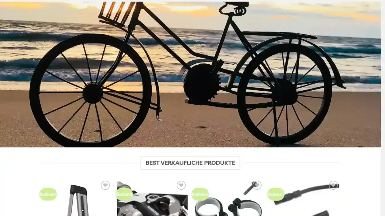 Screenshot of Non-Delivery scam website Deiqskibike.com