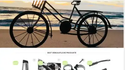 Screenshot of Non-Delivery scam website Deiqskibike.com