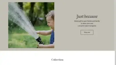Screenshot of Non-Delivery scam website Delinsy.shop