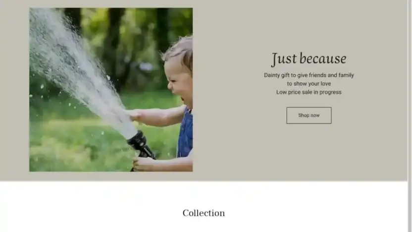 Screenshot of Non-Delivery scam website Delinsy.shop