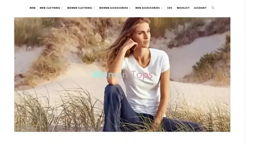 Screenshot of Non-Delivery scam website Denisroth.com