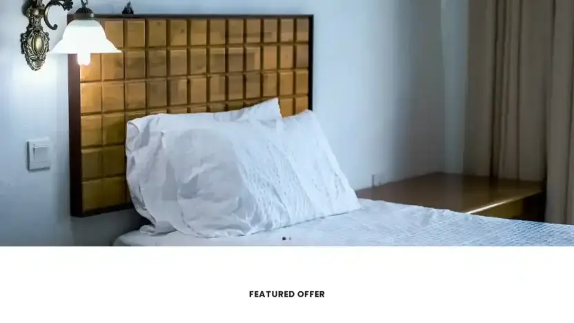 Screenshot of Non-Delivery scam website Depotlamps.com