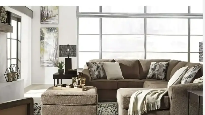 Screenshot of Non-Delivery scam website Designfurnitureplus.com