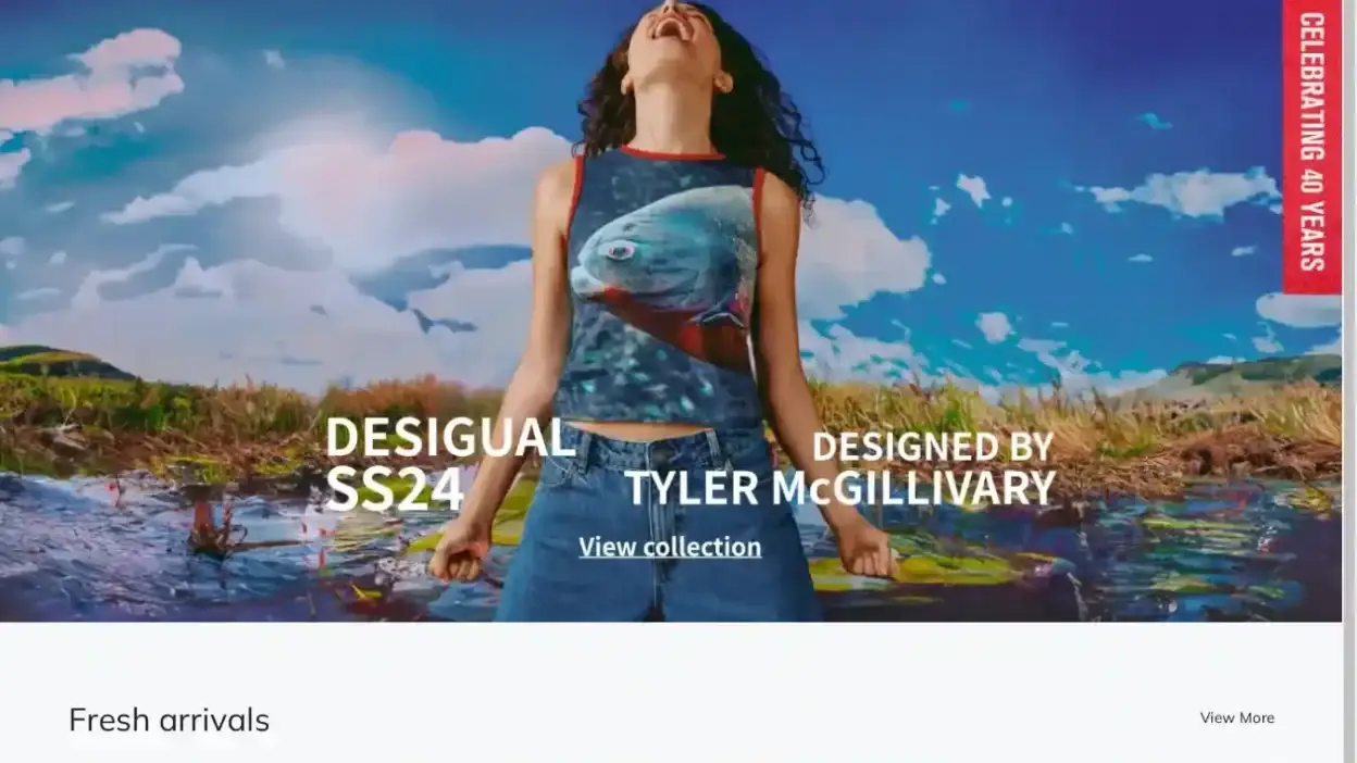 Screenshot of Non-Delivery scam website Desigualcs.shop