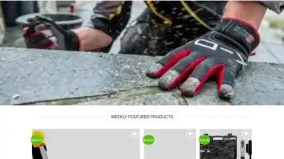 Screenshot of Non-Delivery scam website Dezubehor.com