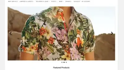 Screenshot of Non-Delivery scam website Diamondfaceandbody.com