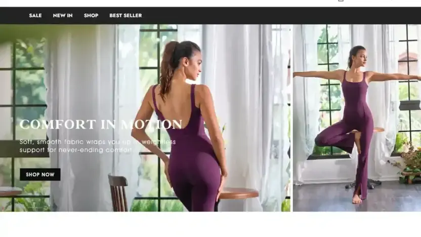 Screenshot of Non-Delivery scam website Dianeangllc.com