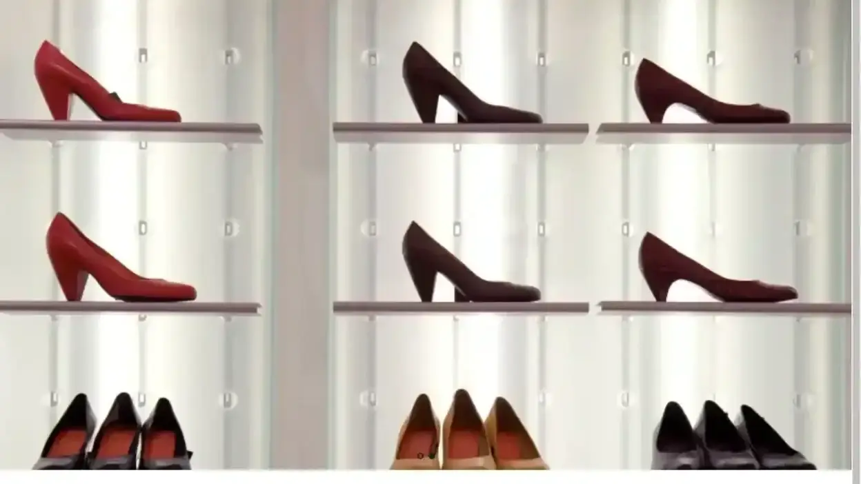 Screenshot of Non-Delivery scam website Dickbigflash.com