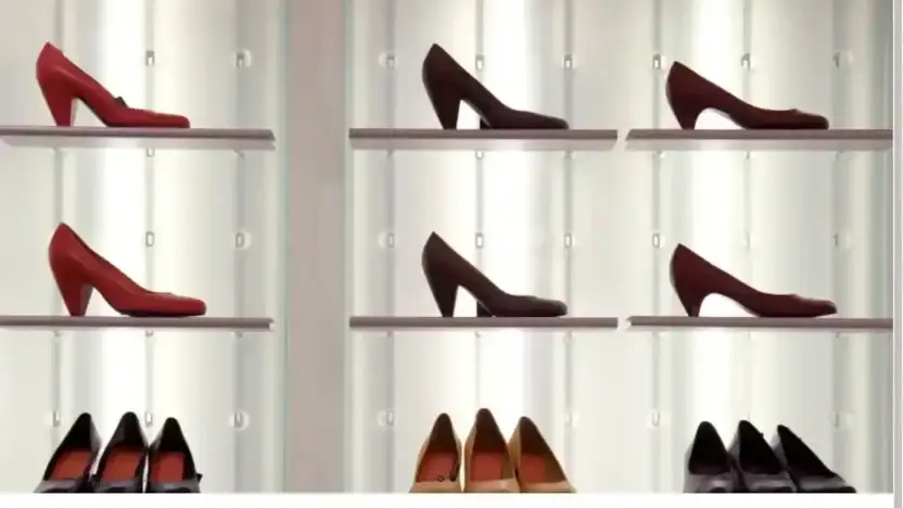 Screenshot of Non-Delivery scam website Dickbigflash.com