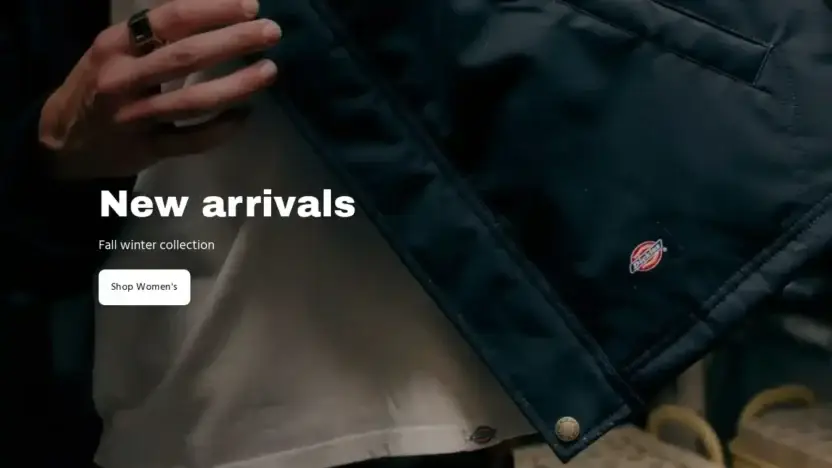 Screenshot of Non-Delivery scam website Dickiesvip.top