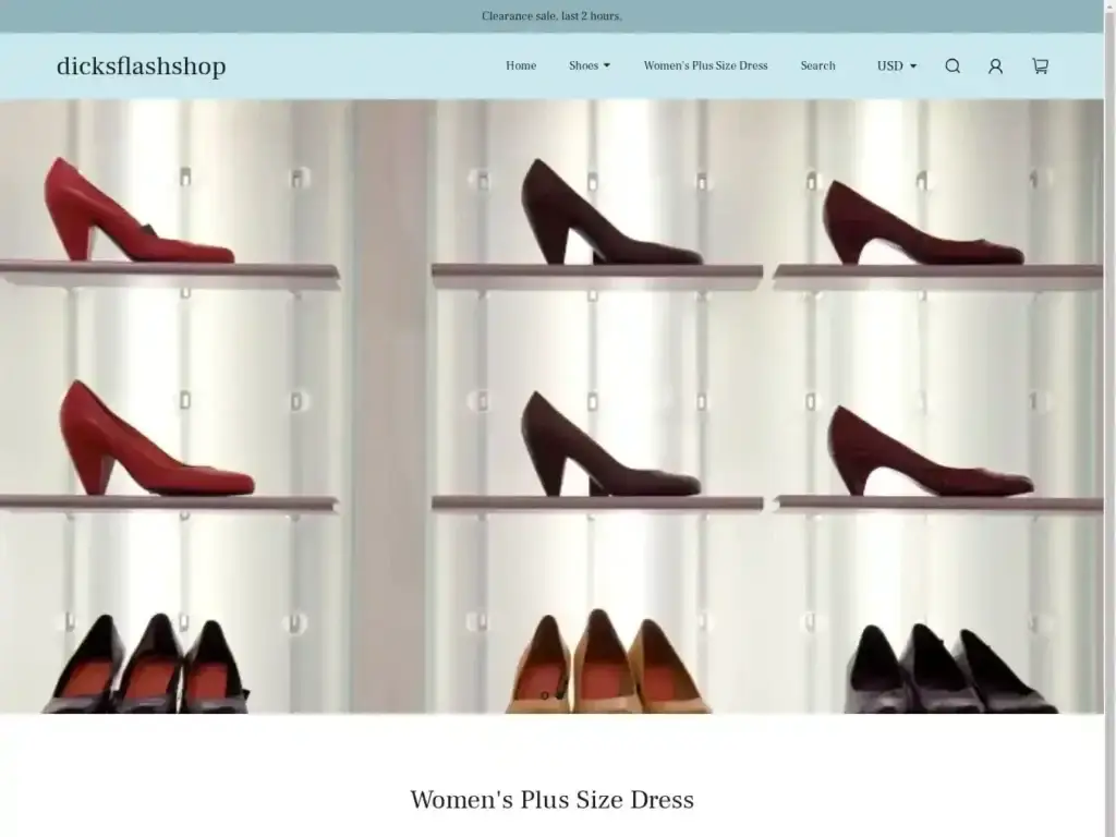 dicksflashshop-com Alternative Text