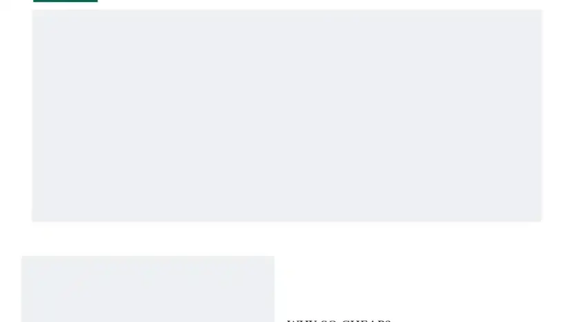 Screenshot of Non-Delivery scam website Dicksportstore.shop