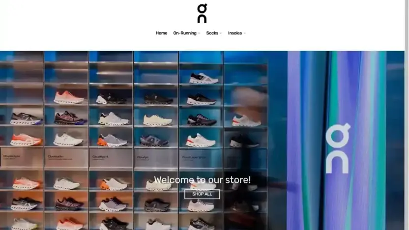 Screenshot of Non-Delivery scam website Dickssportinggoodoutlet.shop