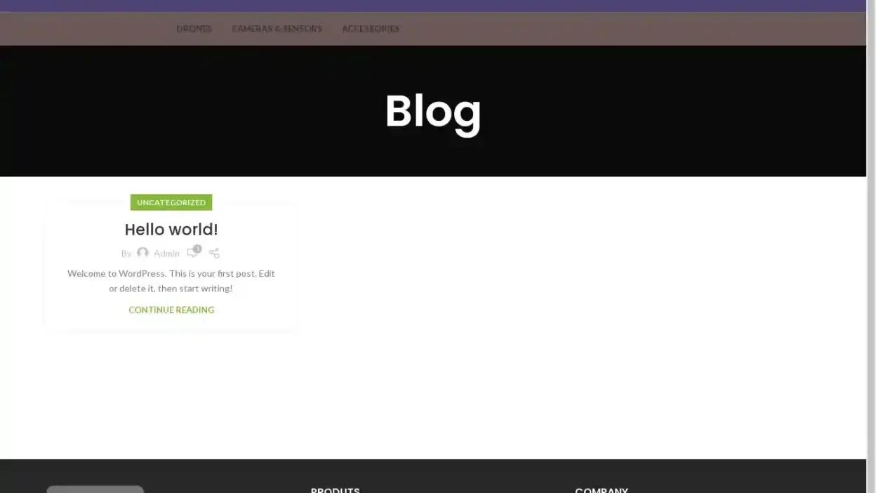 Screenshot of Non-Delivery scam website Digitaldroneshop.com