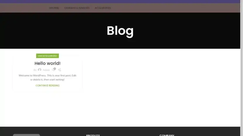 Screenshot of Non-Delivery scam website Digitaldroneshop.com
