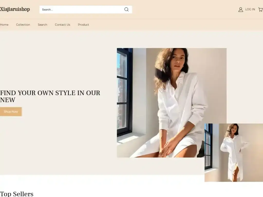 dingshengshop-com Alternative Text