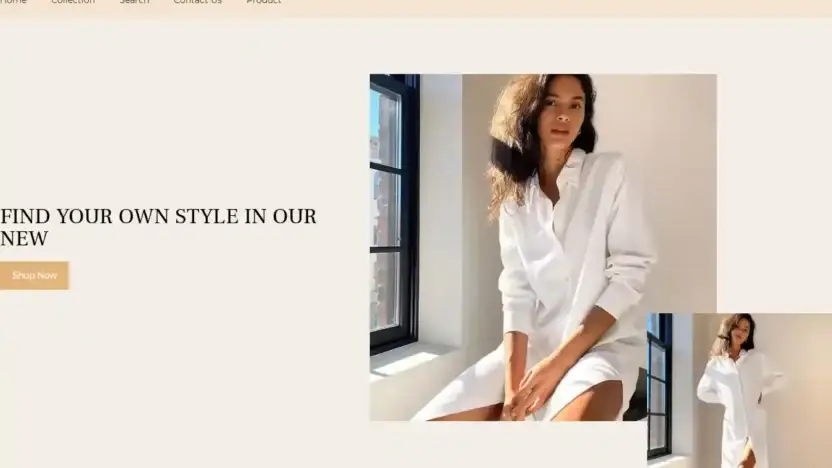 Screenshot of Non-Delivery scam website Dingshengshop.com