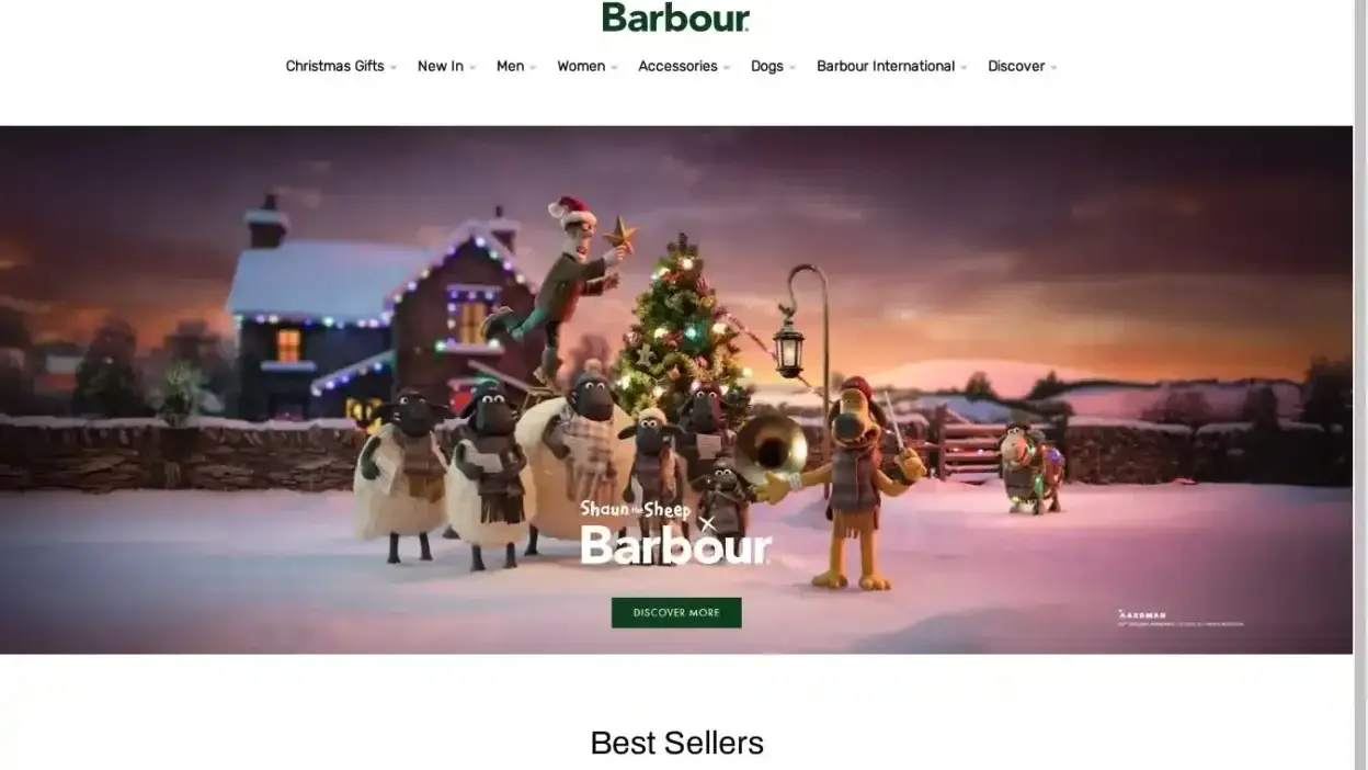 Screenshot of Non-Delivery scam website Discountstoresale.shop