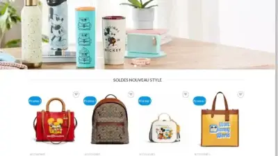 Screenshot of Non-Delivery scam website Disneyproduits.com