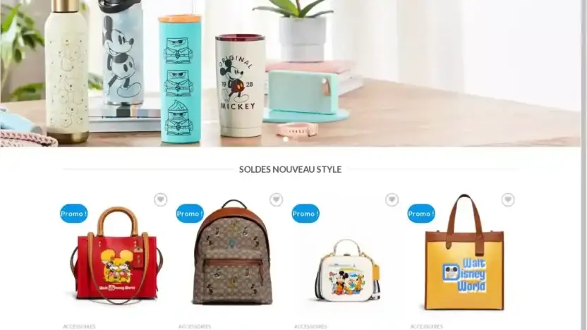 Screenshot of Non-Delivery scam website Disneyproduits.com