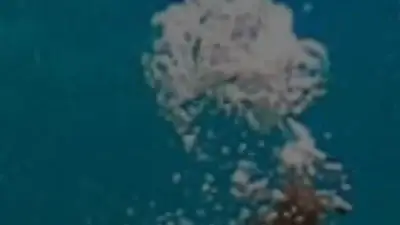 Screenshot of Sport scam website Divinggearworld.com