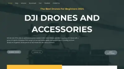 Screenshot of Non-Delivery scam website Djidronesandaccessories.com