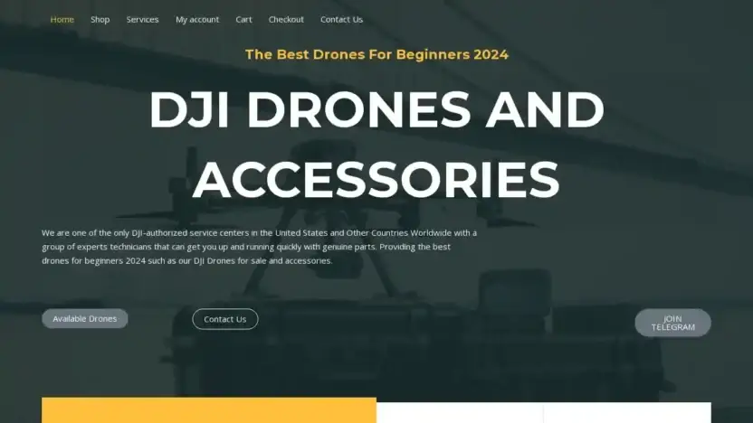Screenshot of Non-Delivery scam website Djidronesandaccessories.com