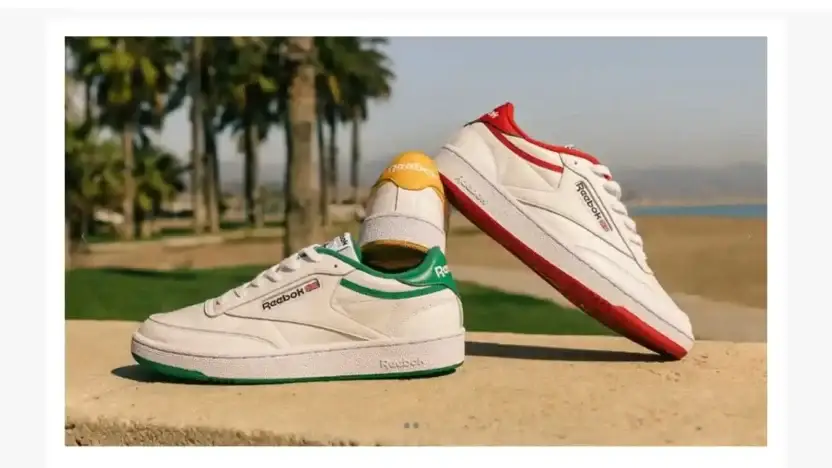 Screenshot of Non-Delivery scam website Dlablanchy.com