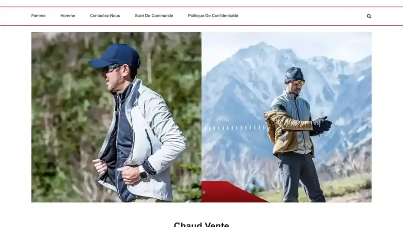 Screenshot of Non-Delivery scam website Dmcollignon.com