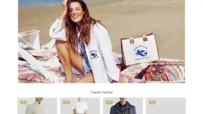 Screenshot of Non-Delivery scam website Dominiquesaignol.com